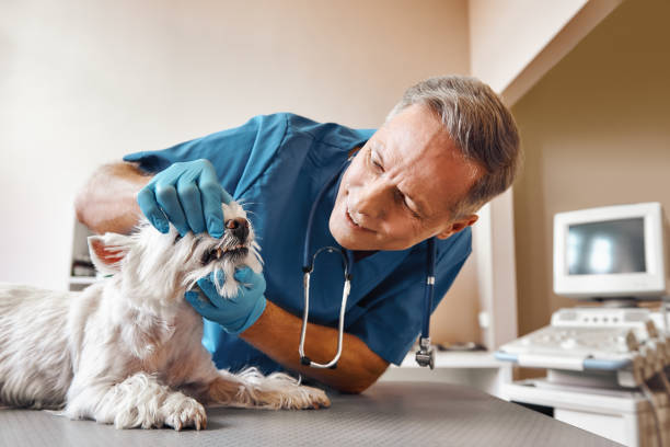 Best Emergency Treatment for Dental Infections or Abscesses in Parklawn, CA